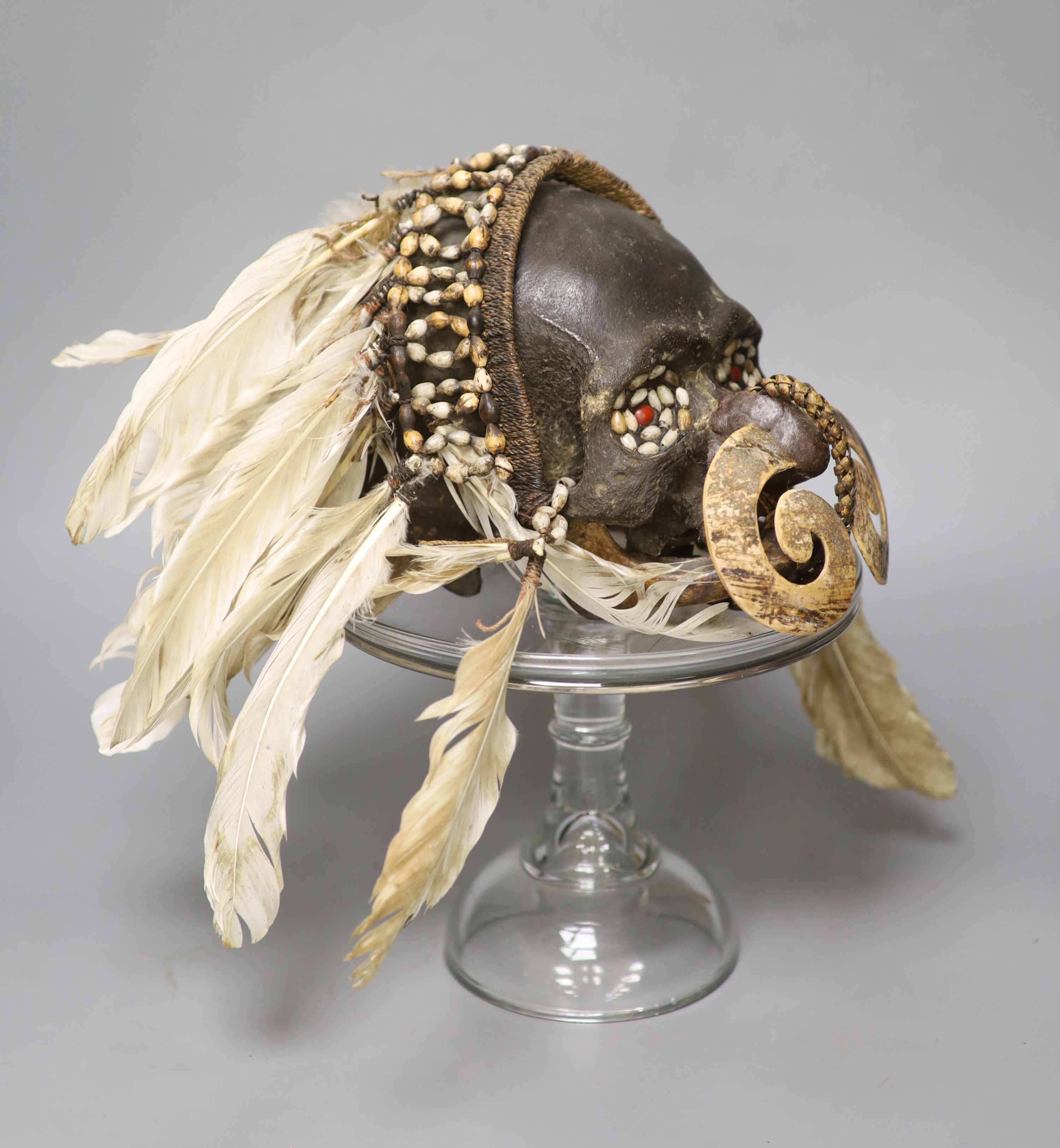 An Asmat ancestral skull, with beaded eyes and feather head-dress, on glass stand